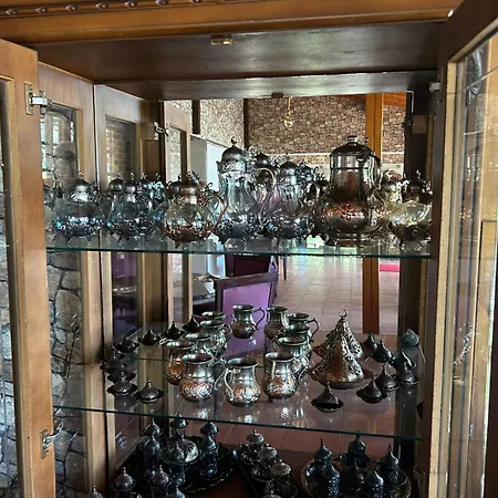 Hotel Sweet Horses Hh5 Didim